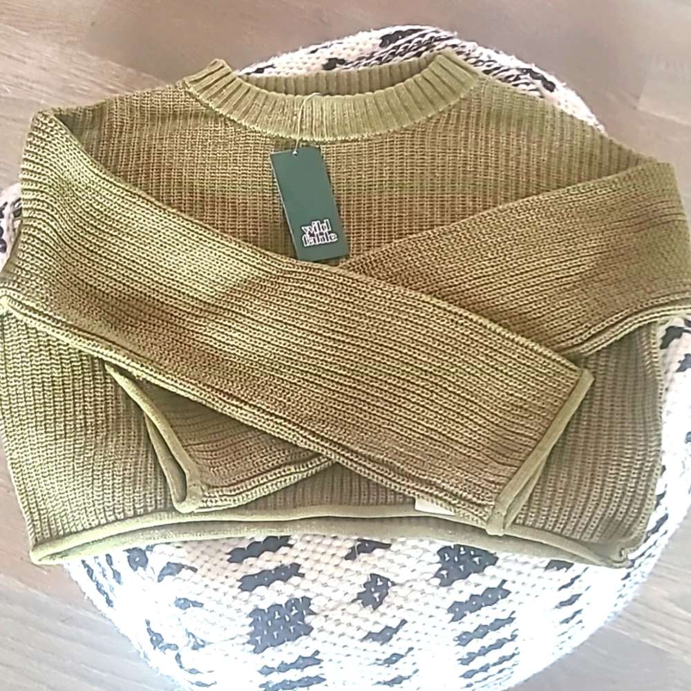 Wild fable crop top sweater.